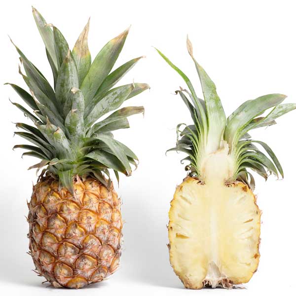 Red Pineapple Red Pineapple